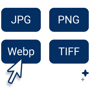 Choose the Format Your Want&nbsp;