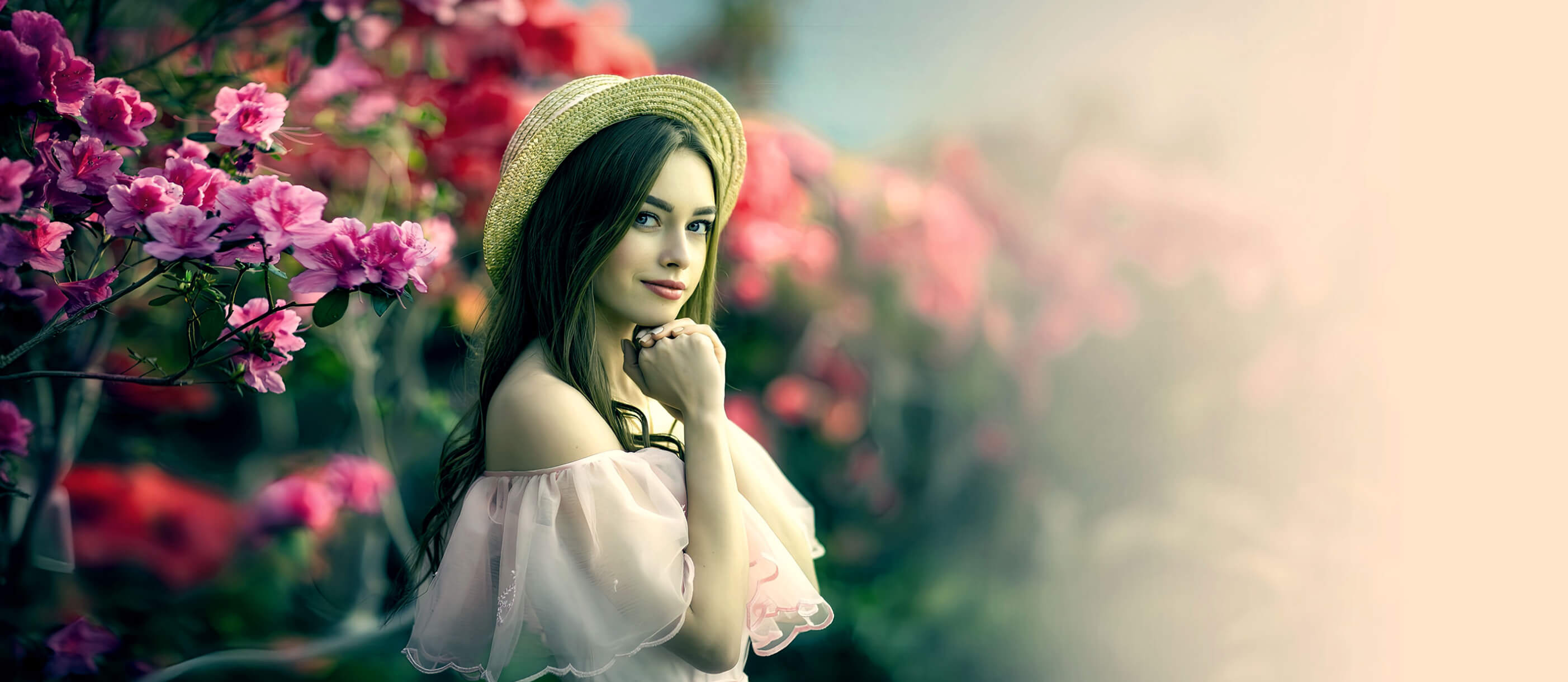 top banner desktop