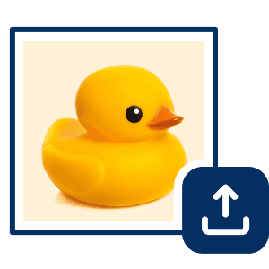 Upload an Image