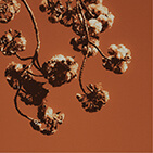 model image 3