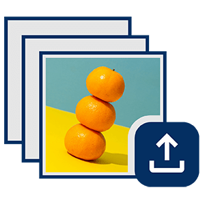 Upload a Photo