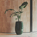 model image 3
