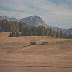 model image 4