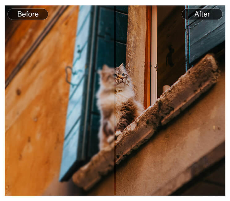 Restauração de Fotos Antigas e de Baixa Resolução
