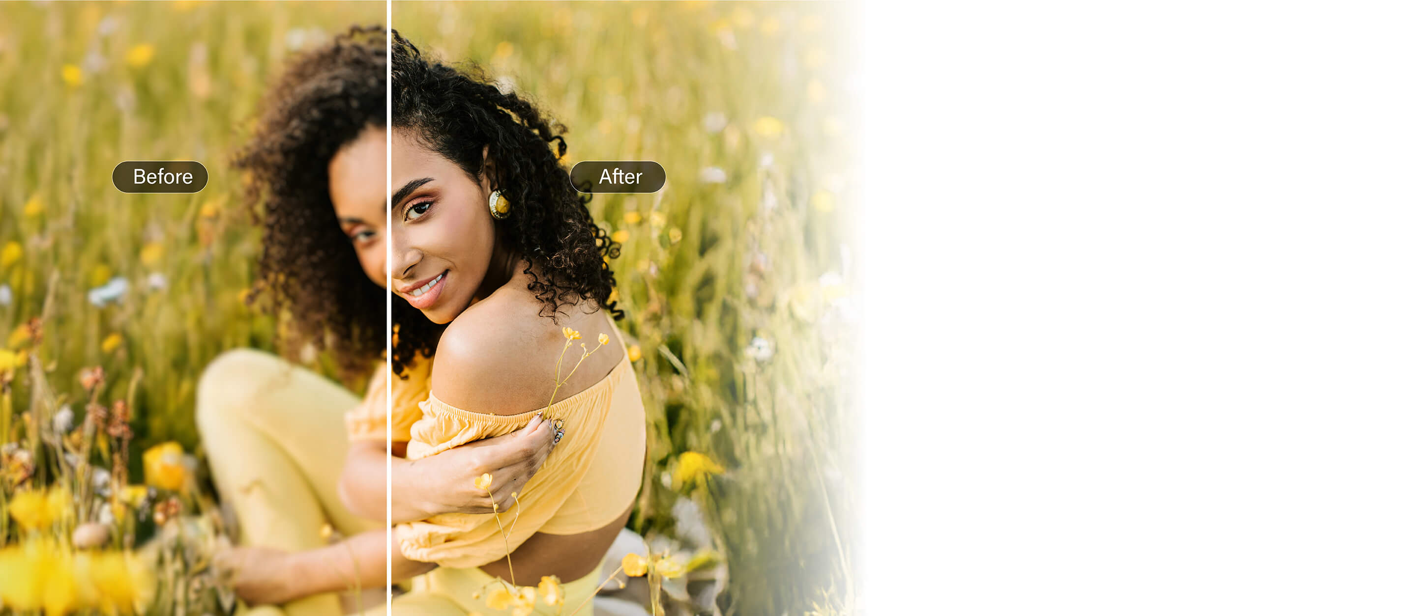top banner desktop