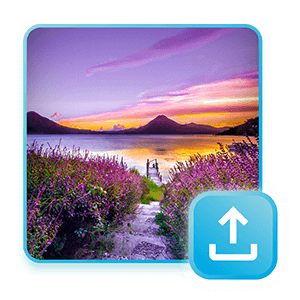 Upload your image