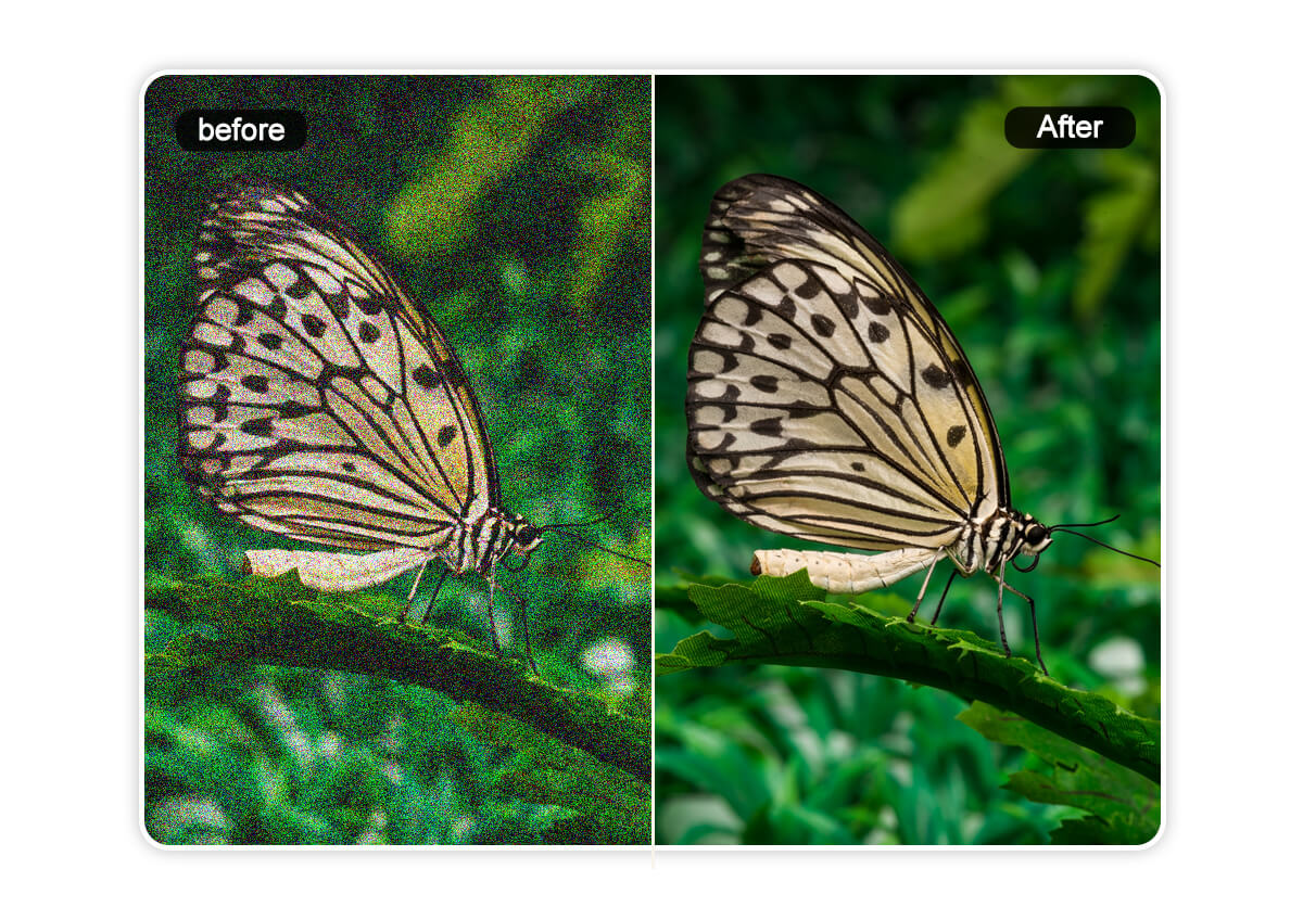 Instant Image Noise Reduction with AI