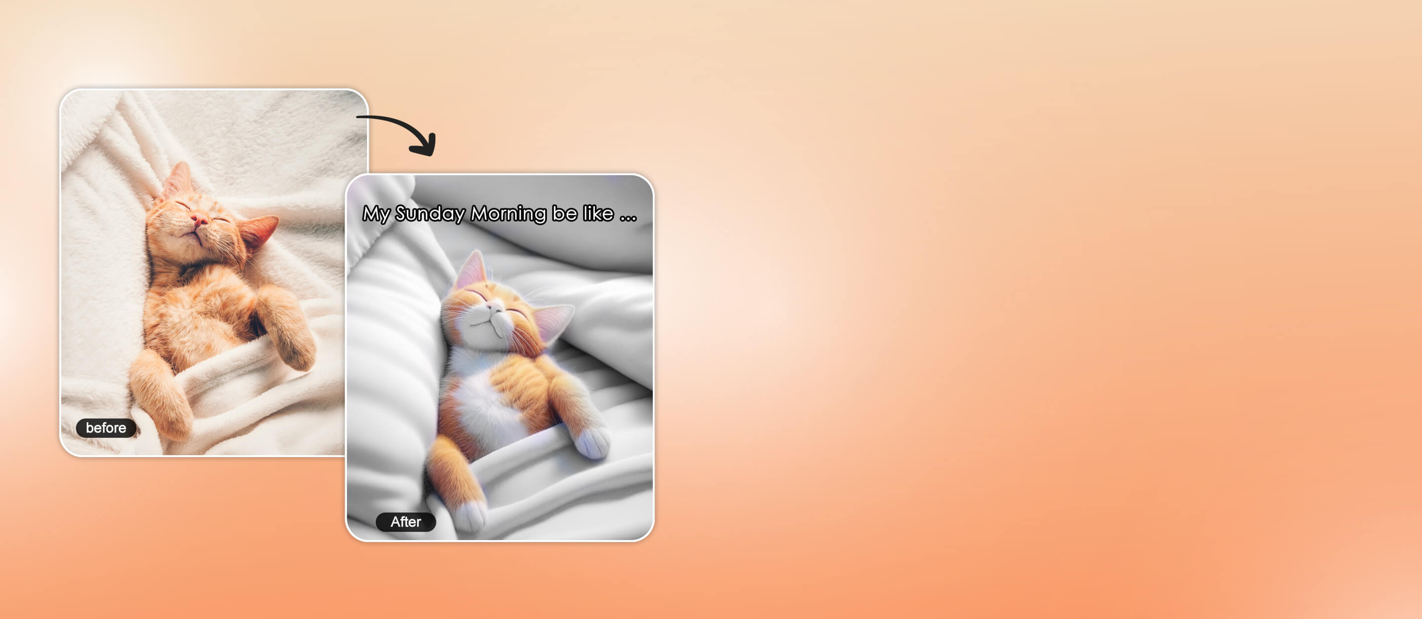 top banner desktop