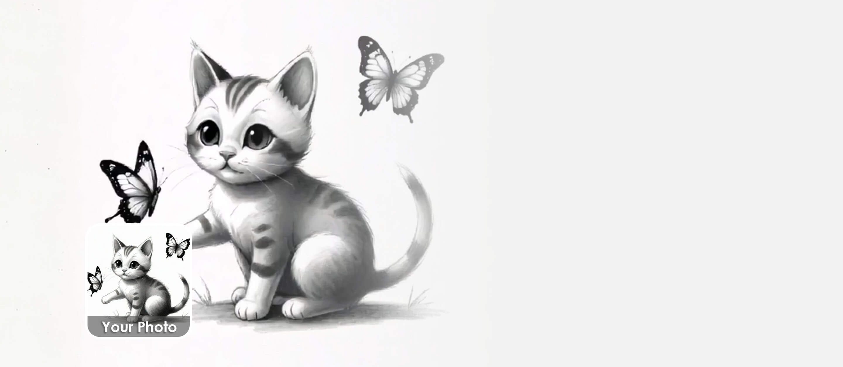 top banner desktop