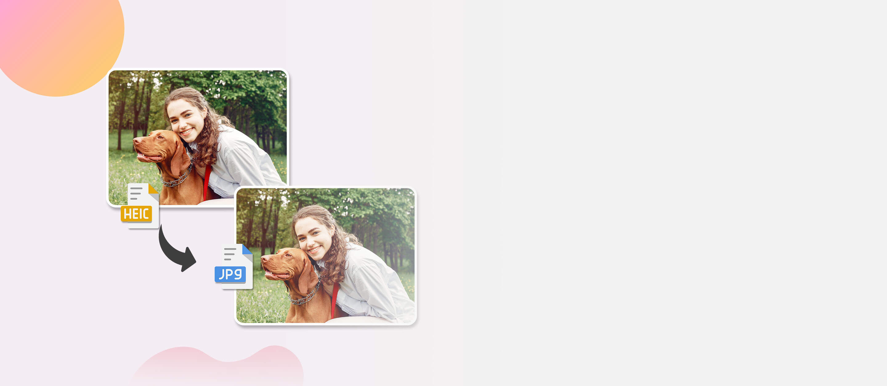 top banner desktop