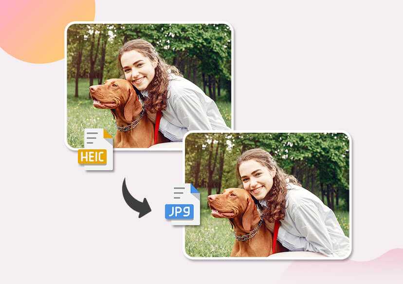 top banner mobile
