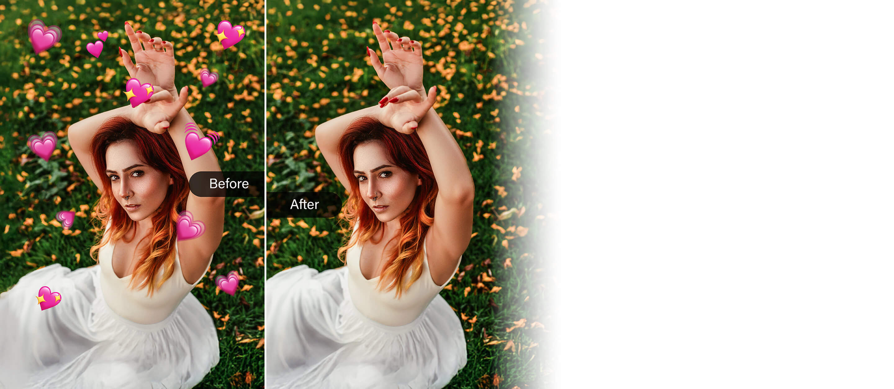 top banner desktop