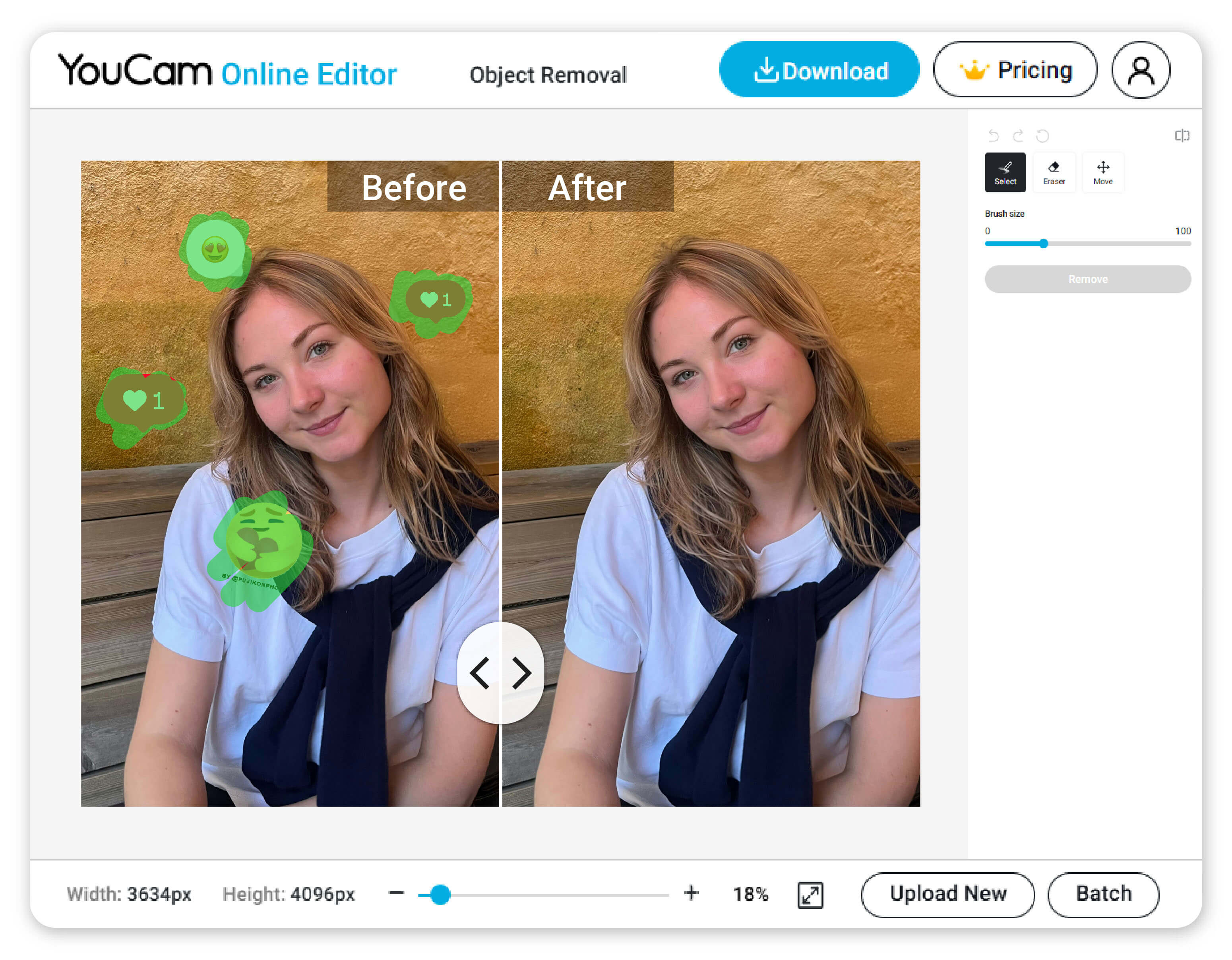 Removedor de Stickers con IA: Características