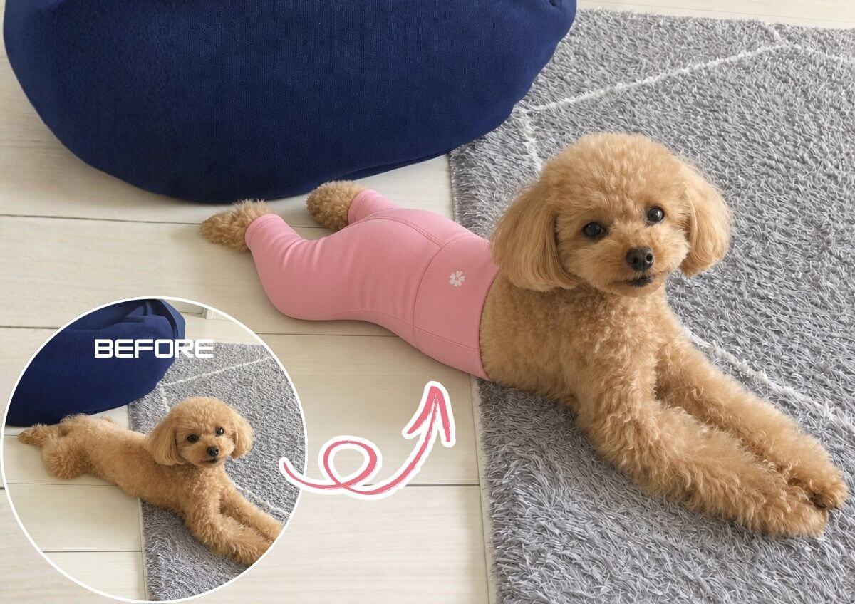 Pantalones de yoga para perros con IA