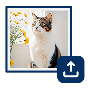 Upload Your Cat Photo