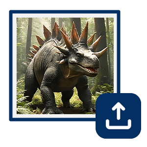 Upload an Image or Photo
