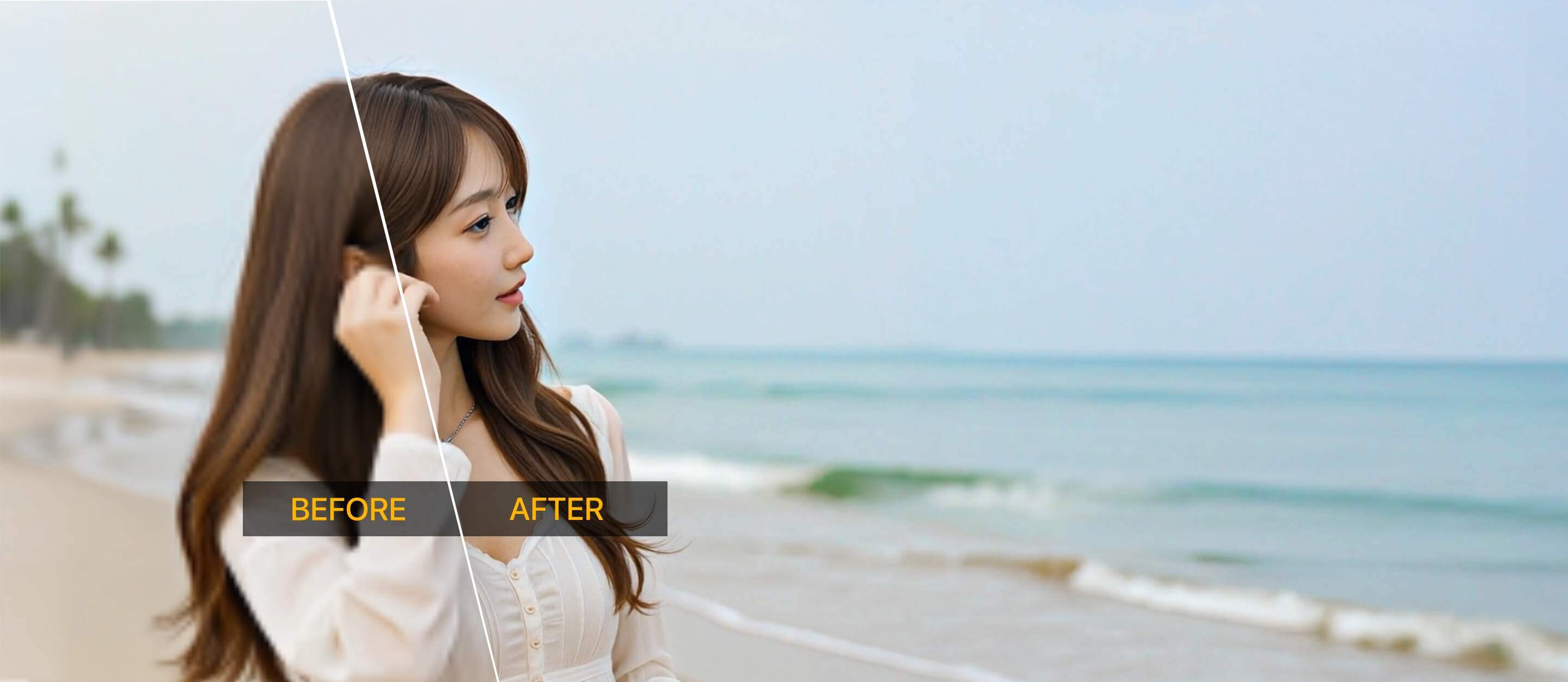top banner desktop
